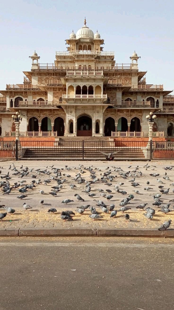 Albert-hall-Jaipur-Rajasthan-🕊️ (1)