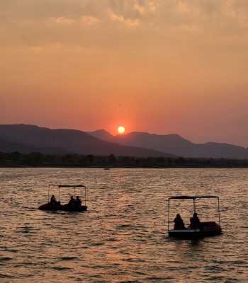 43ad77fff63f420d55f644deb0a86a8e (1)