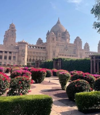 dc03ff0f876434d885a247c1f9763915 (1)